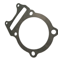 Gasket, Cylinder