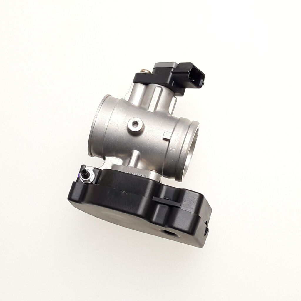 Throttle Body w/TPS