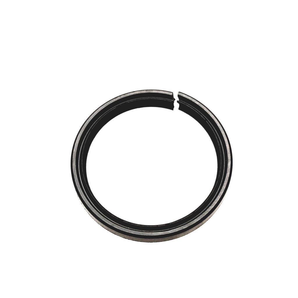 Oil Seal