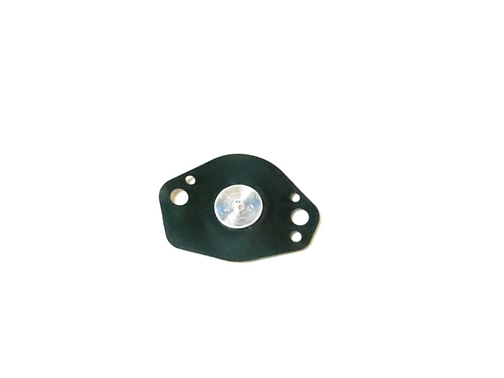 DIAPHRAGM ASS'Y