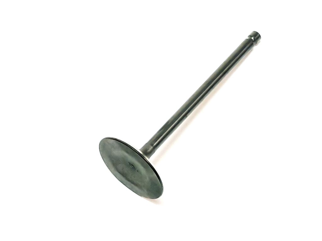 Valve, Intake