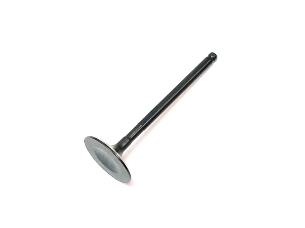 Valve, Intake