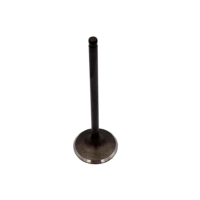 VALVE, INTAKE