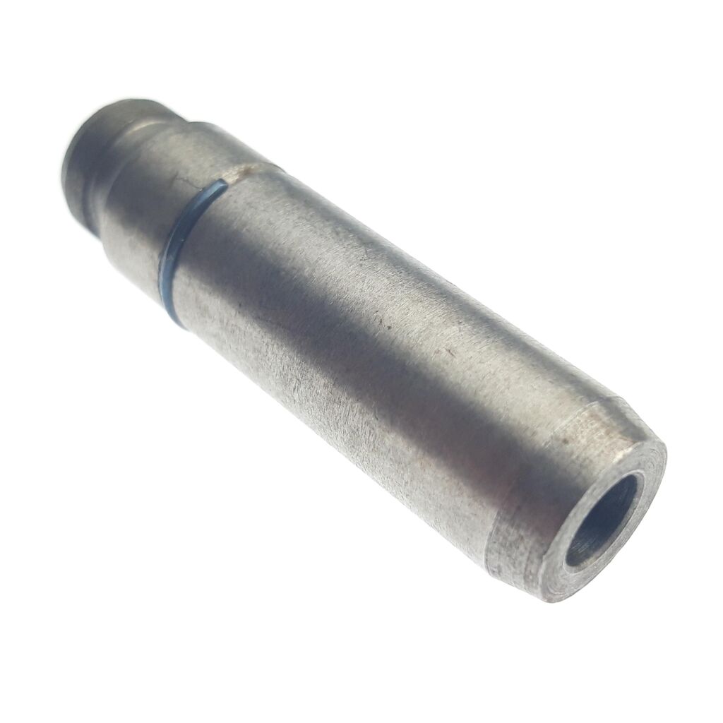 GUIDE INTAKE VALVE