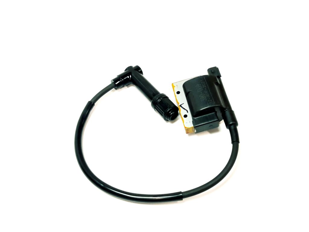 IGNITION COIL, F. CYN.