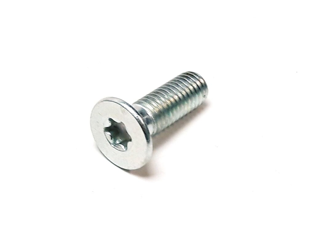 SCREW M8×25