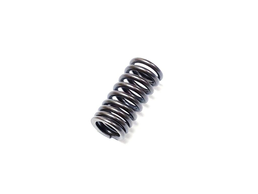 SPRING, VALVE INNER